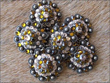 Hilason Antique Silver Finish Brown Crystal Rhinestone Bling Berry Concho